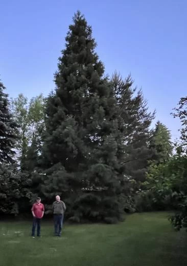 Siegfried Althaus (links), einer der Firmengr&uuml;nder, mit Jens Planert, einem Partner von SPIRIT/21 seit Anfangstagen, vor dem Mammutbaum | SPIRIT/21